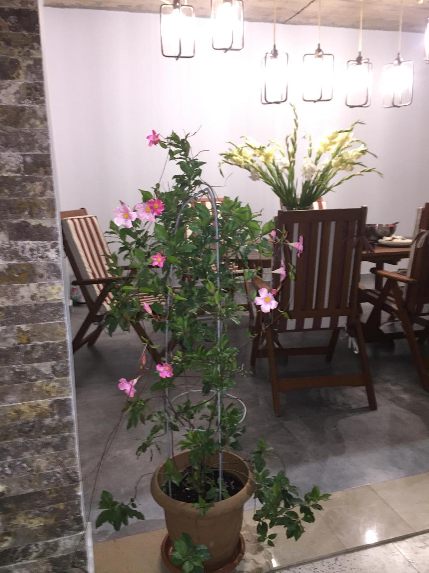Guest House Smile Kobuleti Esterno foto
